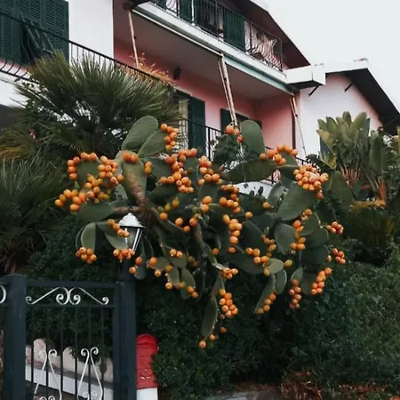 Giardino Miramare Citra Zero Zero Ottanta Trentuno Lt 0737 Apartment *